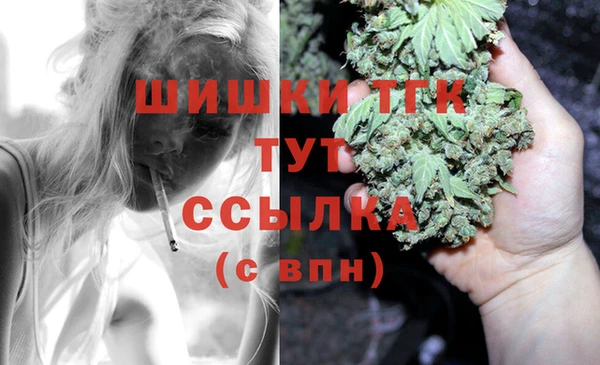 PSILOCYBIN Навашино