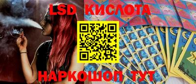 гидра Кандалакша