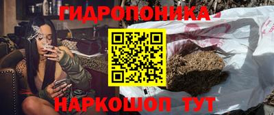 бошки Гай