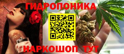 бошки Гай