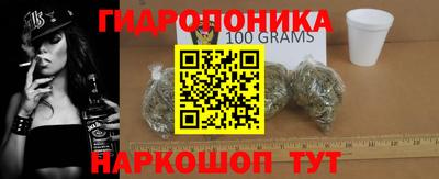 бошки Гай